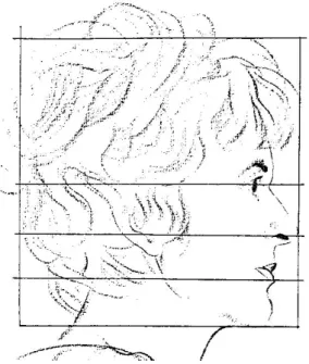 Gambar 13. Proporsi kepala orang dewasa  Sumber: Laindman, 1983 