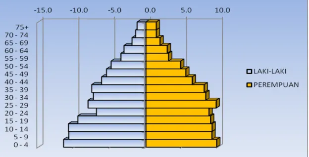 Grafik  berikut   menunjukan bahwa struktur penduduk di Lombok Tengah termasuk   usia muda