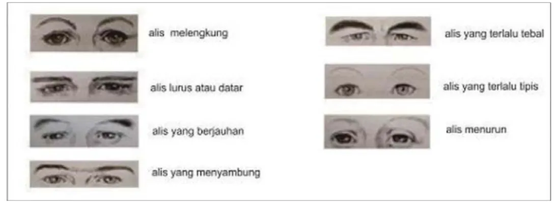 Gambar 2: Bentuk Alis