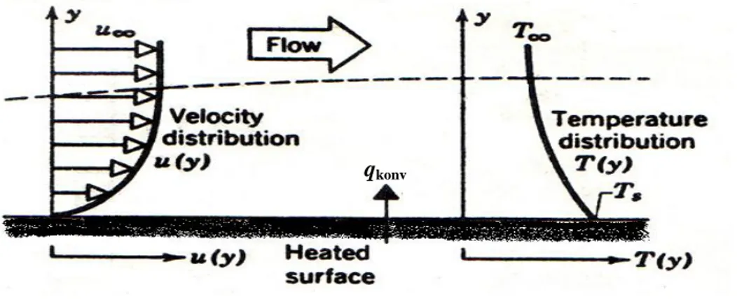 Gambar 2.2 Perpindahan panas konveksi dari permukaan media padat ke fluida yang mengalir  Sumber: (Incropera dan De Witt, 3rd ed