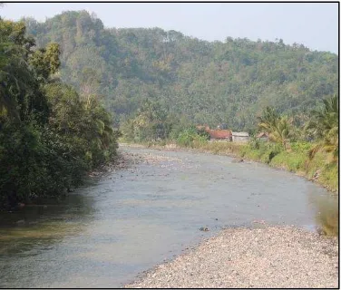 Gambar 3  Hulu Sungai Cibareno                Gambar 4  Hilir Sungai Cibareno 