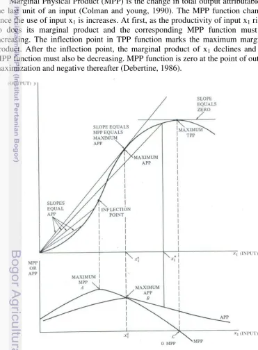 Figure 5. Neoclassical Three-Stage Production Function Source: Debertin (1986) 