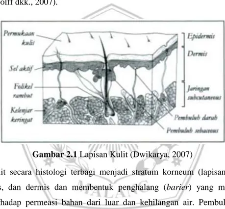 Gambar 2.1 Lapisan Kulit (Dwikarya, 2007) 