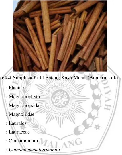 Gambar 2.2 Simplisia Kulit Batang Kayu Manis (Aqmarina dkk., 2016)  Kingdom  : Plantae 