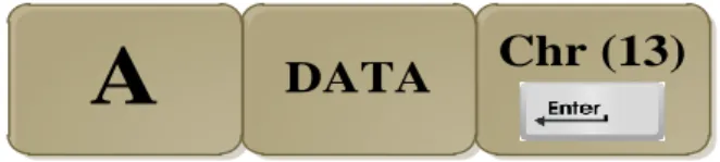 Gambar 3.8 Format Pengiriman Data 