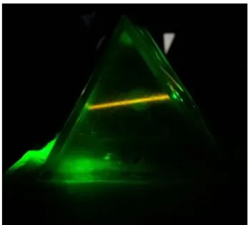 Gambar  7.  Foto  prisma  yang  berisi  sampel  minyak  goreng  dengan  berkas  laser  He-Ne  lewat  melalui  sampel  minyak  goreng dalam rongga prisma tersebut