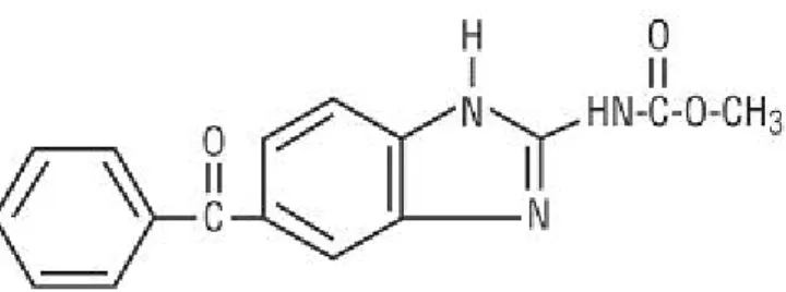 Gambar 2.5. Struktur kimia Mebendazol         