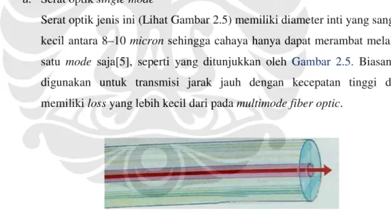 Gambar 2.5 Fiber optic single mode[6] 