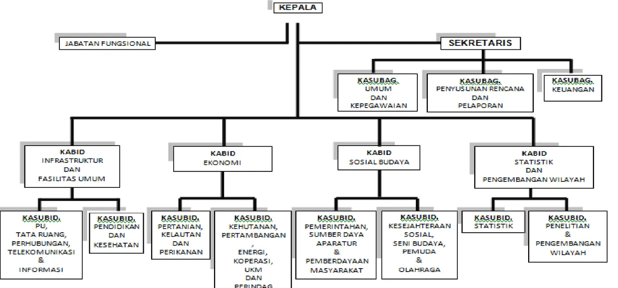 Gambar 2.7   Struktur Organisasi BAPPEDA Kabupaten Kepulauan Talaud 