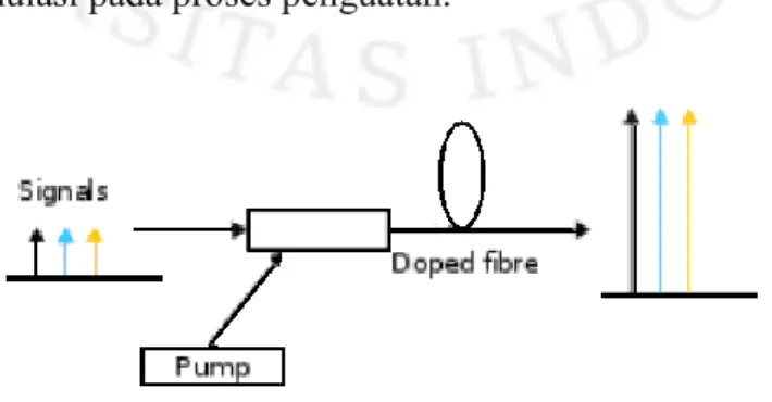 Gambar 2.1 Diagram Sederhana Penguat Fiber yang di-Doping 