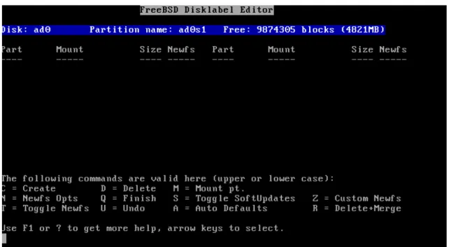 Gambar 4.14 Tampilan FreeBSD Disklabel 