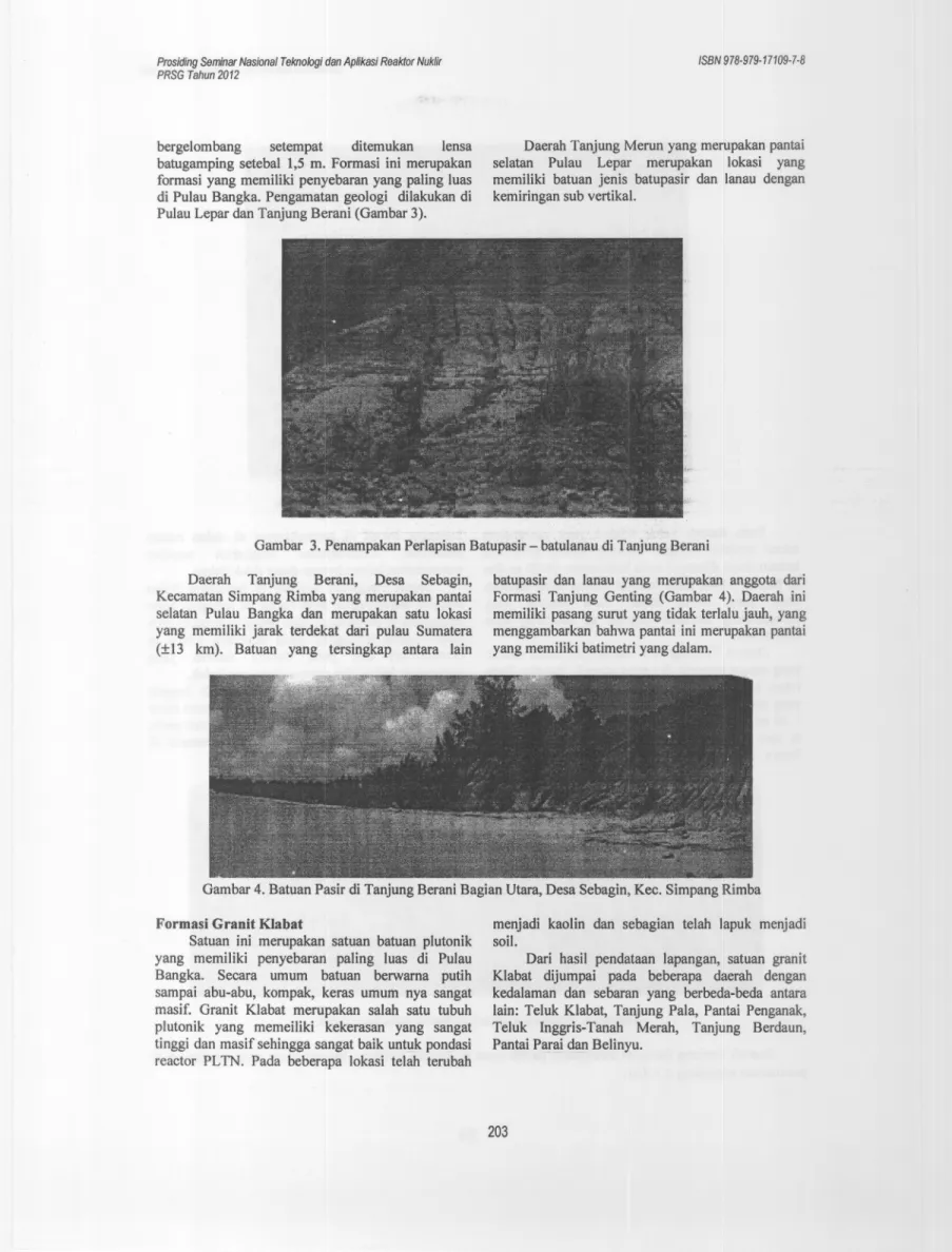 Gambar 3. Penampakan Perlapisan Batupasir - batulanau di Tanjung Berani Daerah Tanjung Berani, Desa Sebagin,