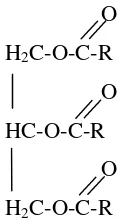 Gambar 1. Rumus kimia trigliserida 