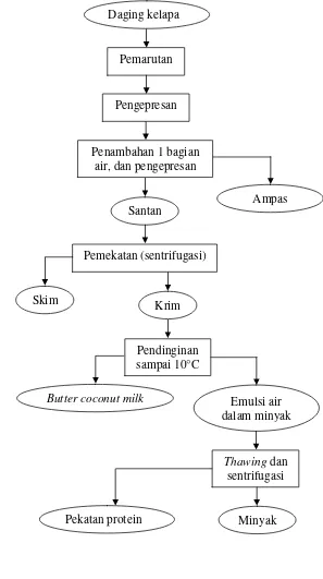 Gambar 5. Diagram alir proses pembuatan minyak kelapa dengan cara Churning (BBIA, 1999) 