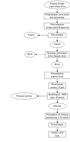 Gambar 6. Diagram alir proses pembuatan VCO dengan papain kasar (Husna, 1998) 