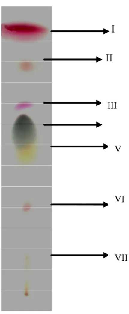 Gambar 1. Hasil kromatogram KLT Ekstrak n-heksan  rimpang lengkuas merah (Alpinia galanga).