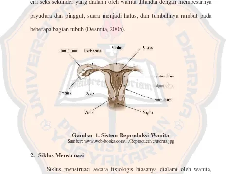 Gambar 1. Sistem Reproduksi Wanita 