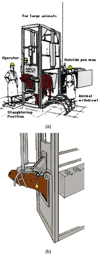 Gambar 9    Posisi pemotongan hewan (a) dan posisi kepala hewan (b) pada  pemotongan menggunakan restrainer  sistem rel ganda (Grandin  1988)