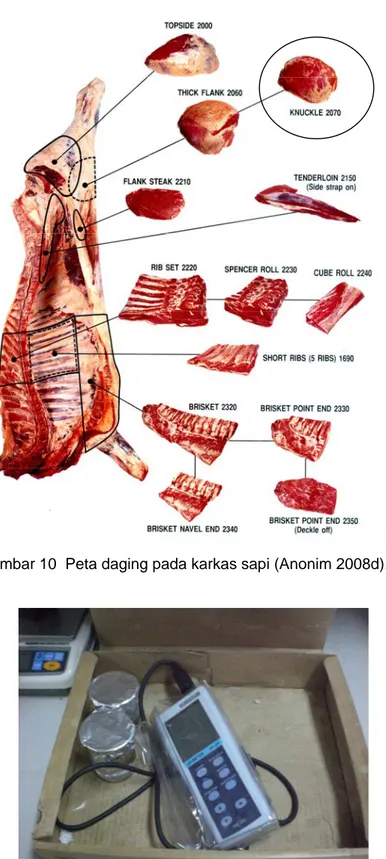 Gambar 10  Peta daging pada karkas sapi (Anonim 2008d).