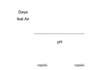 Gambar  2  Hubungan  daya  ikat  air  dengan  nilai  pH  daging  (a)  ekses  muatan  positif pada miofilamen, (b) muatan positif dan negatif seimbang, dan  (c) ekses muatan negatif pada miofilamen (Soeparno 1994)