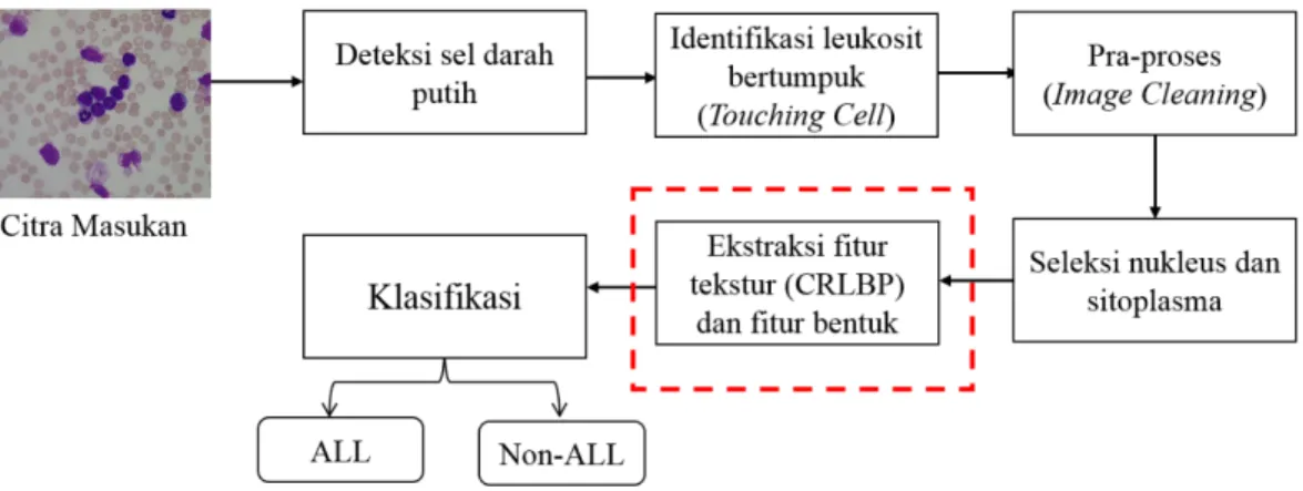Gambar 3.2 Rancangan sistem deteksi Acute Lymphoblastic Leukemia (ALL).