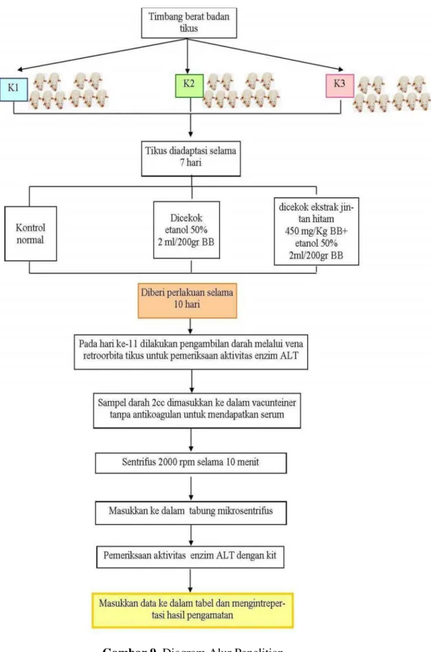 Gambar 9. Diagram Alur Penelitian