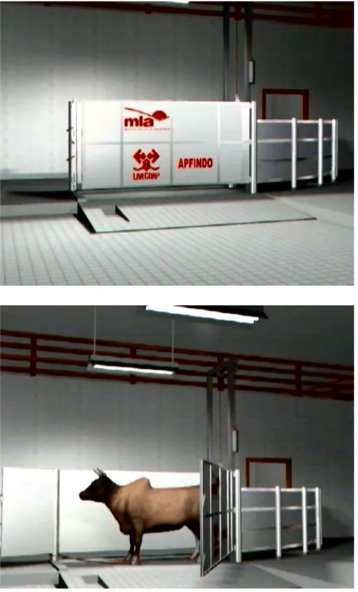 Gambar 3  Restraining box hasil desain meat livestock Australia (MLA) (Anonim  2006). 