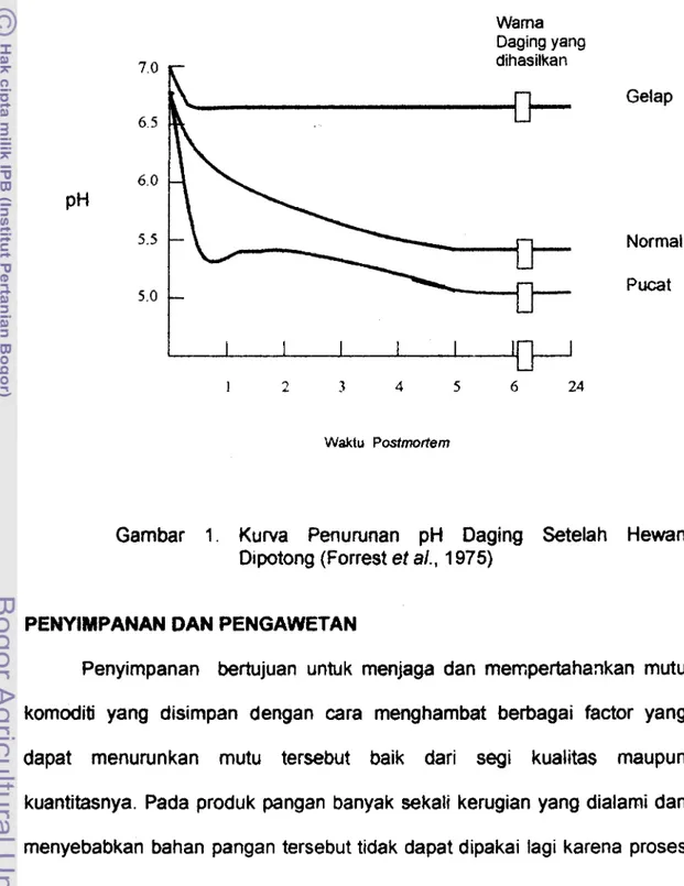 Gambar  1.  Kurva  Penurunan  pH  Daging  Setelah  Hewan  Dipotong (Forrest et al., 1975) 