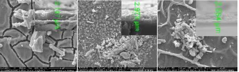 Gambar 1. Ketebalan ZnO dan Morfologi Perovskite pada Sampel A (3,15 µm), B (2,97µm) dan C (2,56 µm)