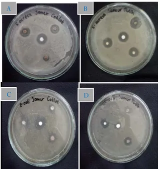 Gambar 1. A. Diameter zona hambat jamur  endofit miselium coklat terhadap bakteri S. 
