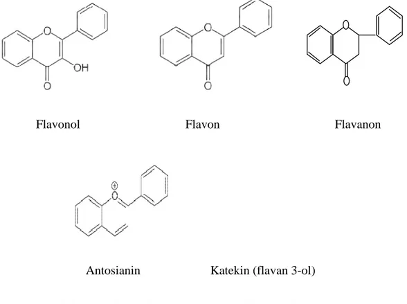 Gambar 2.2 Struktur Dasar Beberapa Senyawa Flavonoid (Marais et al., 2006) 