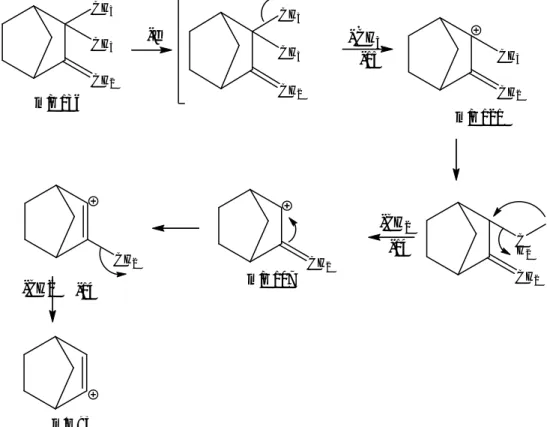 Gambar 6.6 Struktur senyawa kamfen 
