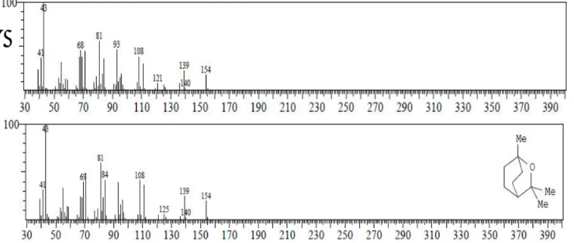 Gambar  6.7 (A). Spektrum massa senyawa puncak 3               (B). Spektrum massa senyawa 1,8 sineol 