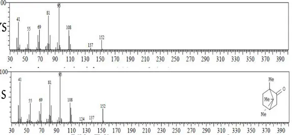 Gambar 6.10   (A). Spektrum massa senyawa puncak 5             (B). Spektrum massa senyawa kamfor 