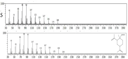 Gambar  6.12 (A). Gambar spektrum massa senyawa puncak 8                     (B). Gambar spektrum massa senyawa 1-etenil-1-metil 