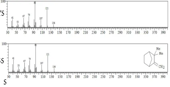 Gambar 6.5 (A). Spektrum massa senyawa puncak 2   (B).  Spektrum massa senyawa kamfen  