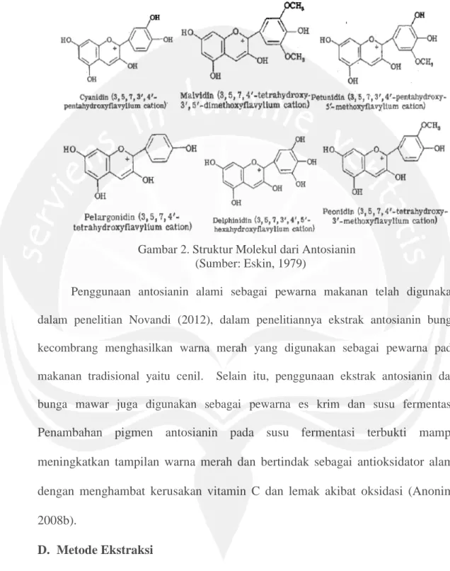 Gambar 2. Struktur Molekul dari Antosianin  (Sumber: Eskin, 1979) 