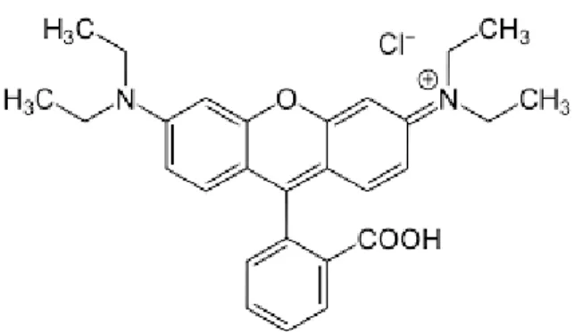 Gambar 2.1 Struktur Rhodamin B 