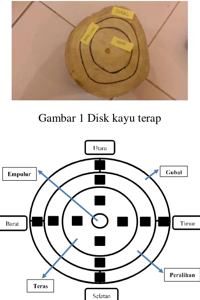 Gambar 1 Disk kayu terap 