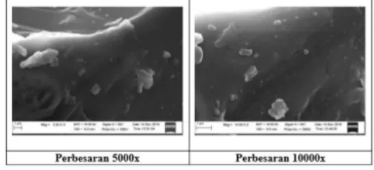 Gambar 2. Hasil SEM (Scanning Electron Microscopy) Nanoekstrak 