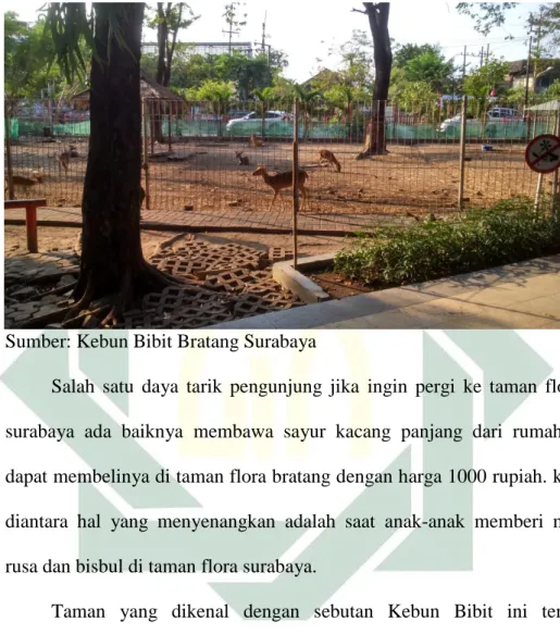 Gambar 5  Kandang Rusa 