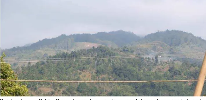 Gambar 1. Bukit Desa Jayamekar, perlu pengetahuan konservasi kepada masyarakat, agar pembakaran dan penggundulan tidak terj adi lagi di masa yang akan datang (foto: Rij a Sudirj a, Juli 2007)