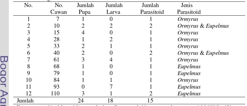 Tabel 1 Jumlah dan jenis parasitoid dari pupa dan larva C. connexa dari Cigudeg 