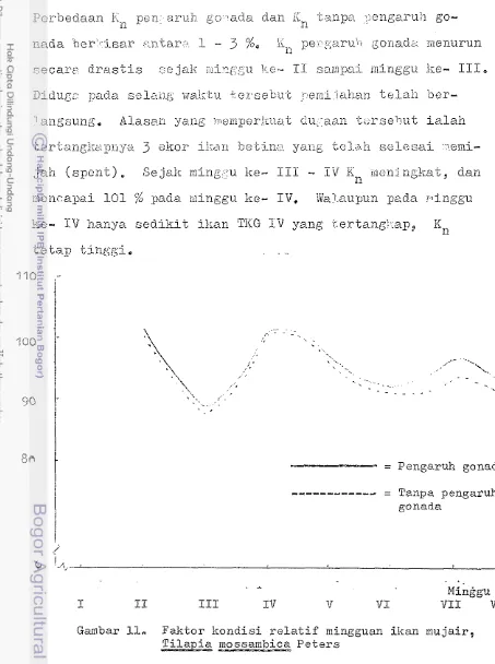 Gambar 11, Faktor Icondisi r e l a t i f  mingguan i k a n  mujair, 