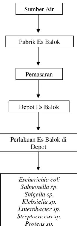 Gambar 1.2 Kerangka Konsep 
