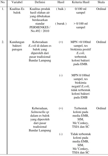 Tabel 3.1 Definisi Operasional 