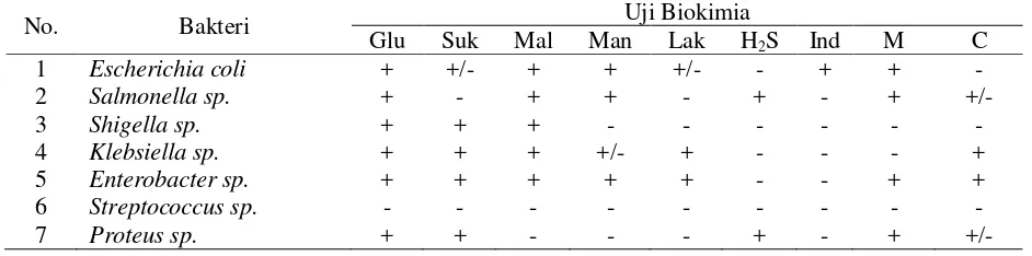 Tabel 3.3 Interpretasi Positif Kontaminasi pada Uji Biokimia 