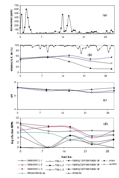 Gambar 7. Kondisi dan kinerja penghilangan NH3 biofilter satu (a) inlet-outlet, (b) efisiensi dan kadar air, (c) pH, (d) jumlah bakteri
