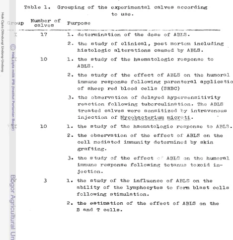 Table 1. Grouping of the experimental calves according 