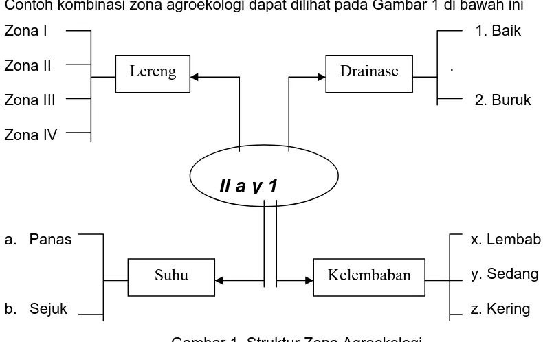 Gambar 1. Struktur Zona Agroekologi 